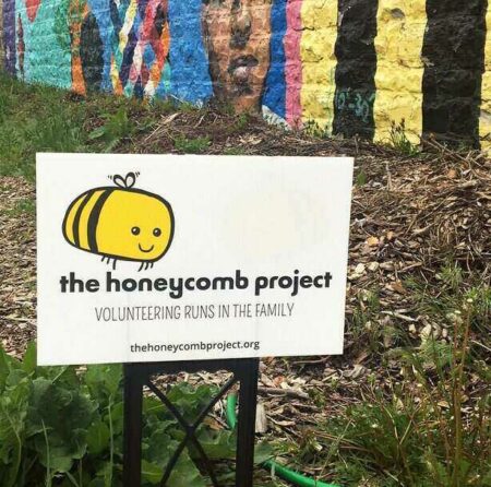 The HoneyComb Project Is a Sweet Organization The Honeycomb Project