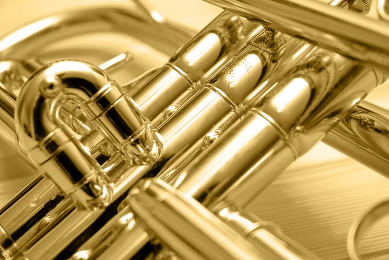 Flea Releases Solo Album After 44 Years [Video]