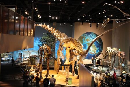 Tylosaurus Rex